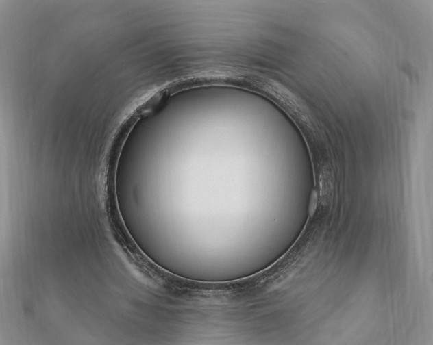 X0000112080436200908181245