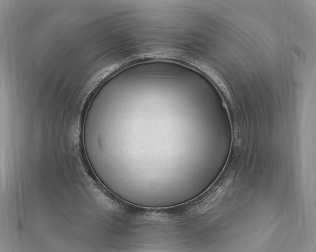 X0000112080437200908181245