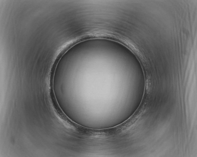 X0000112080438200908181245