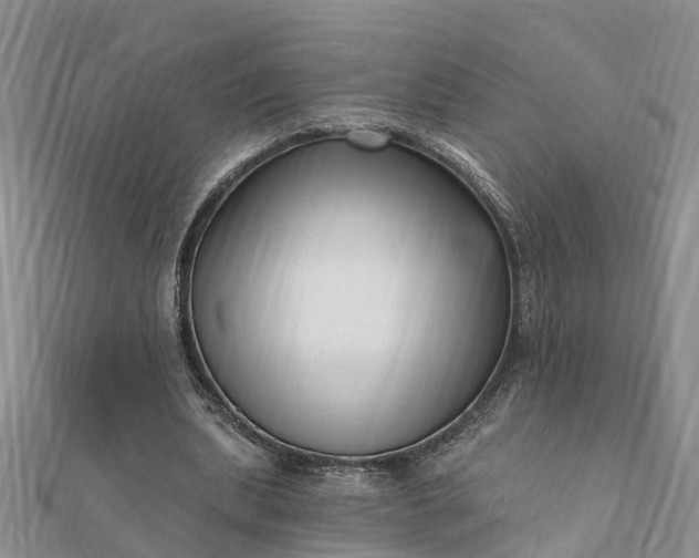 X0000112080439200908181245