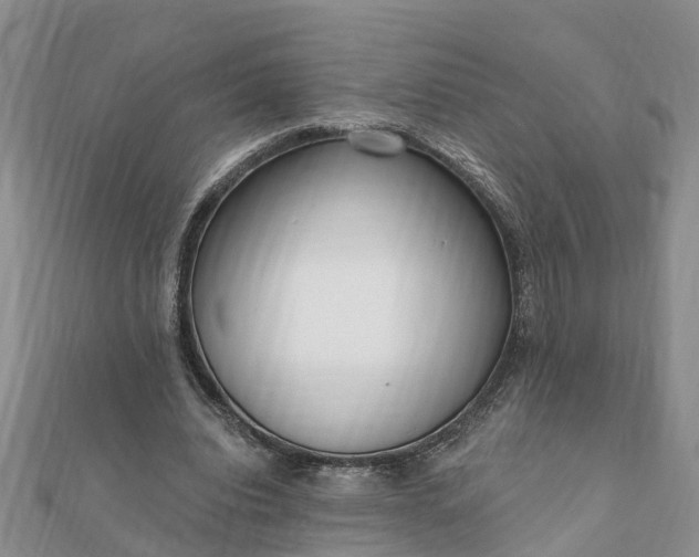 X0000112080440200908181245