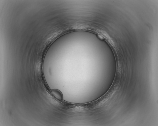 X0000112080441200908181245