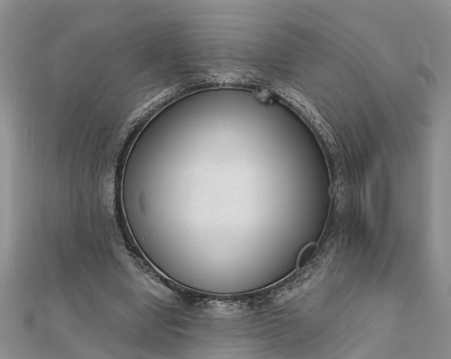 X0000112080442200908181245