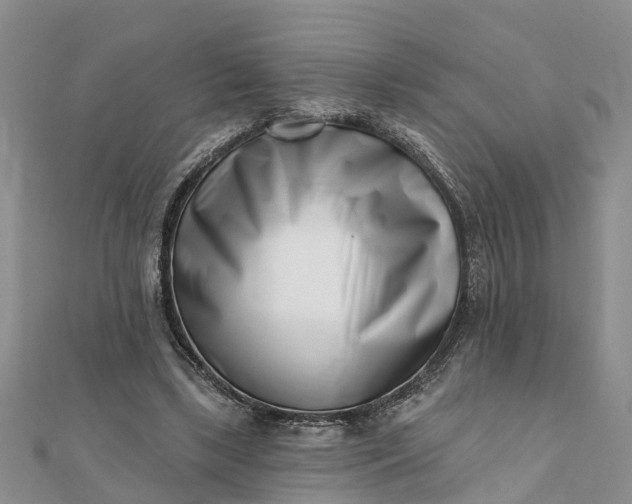 X0000112080443200908181245