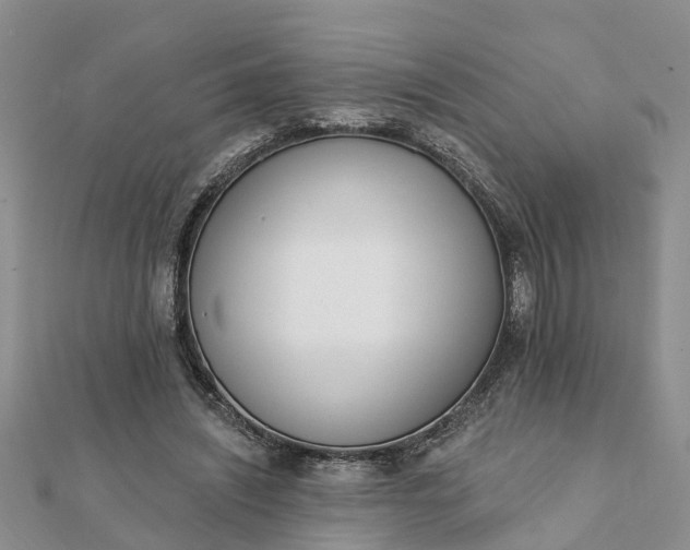 X0000112080444200908181245