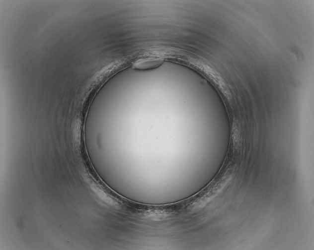 X0000112080445200908181245