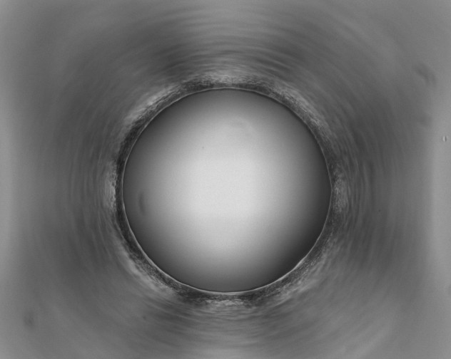 X0000112080446200908181245