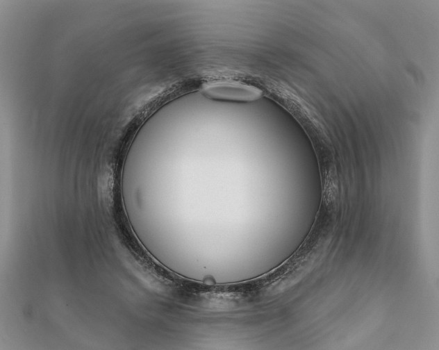 X0000112080448200908181245