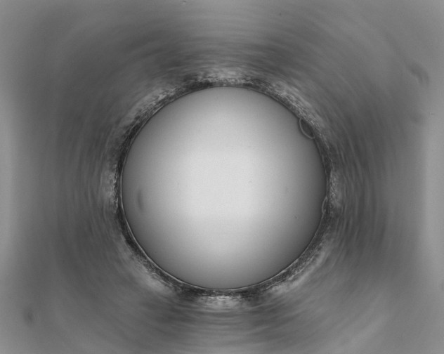 X0000112080449200908181245