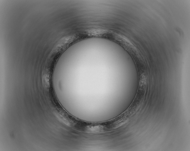 X0000112080452200908181245