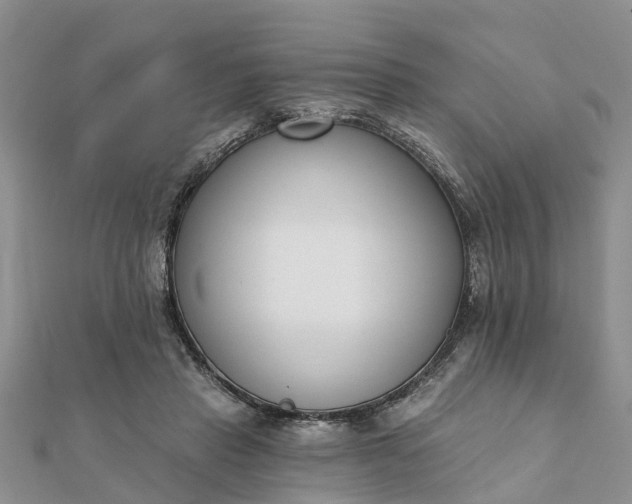 X0000112080453200908181245