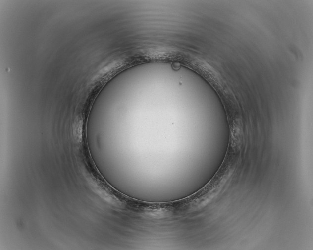 X0000112080454200908181245