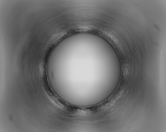 X0000112080455200908181245