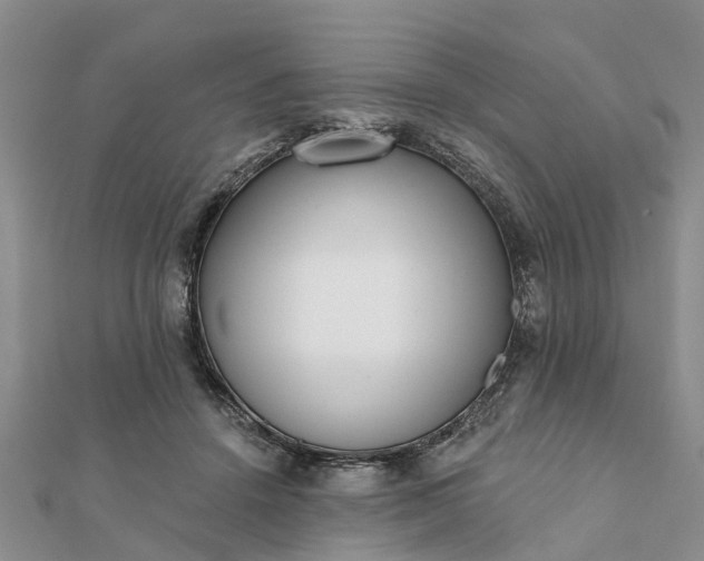 X0000112080456200908181245