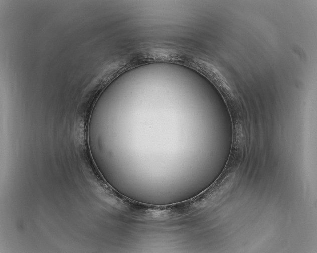 X0000112080457200908181245