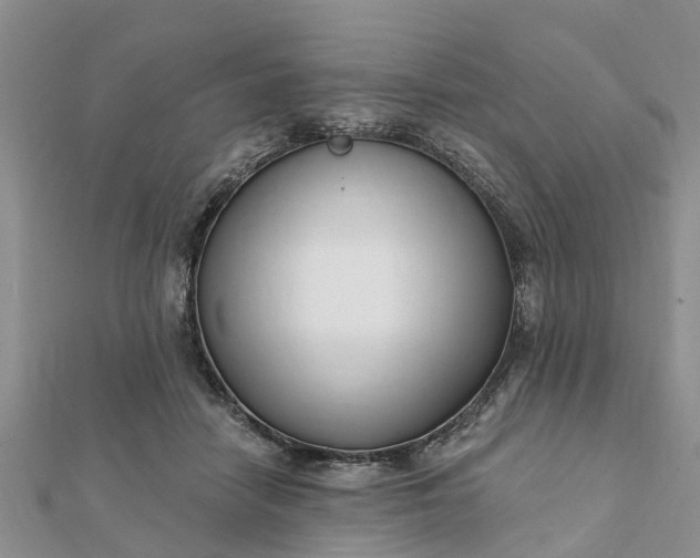 X0000112080458200908181245