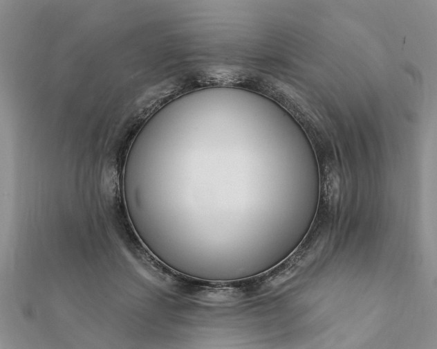 X0000112080459200908181245