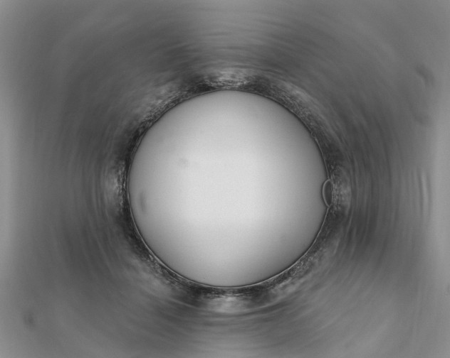 X0000112080460200908181245