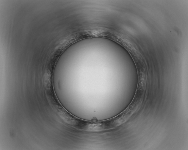 X0000112080461200908181246