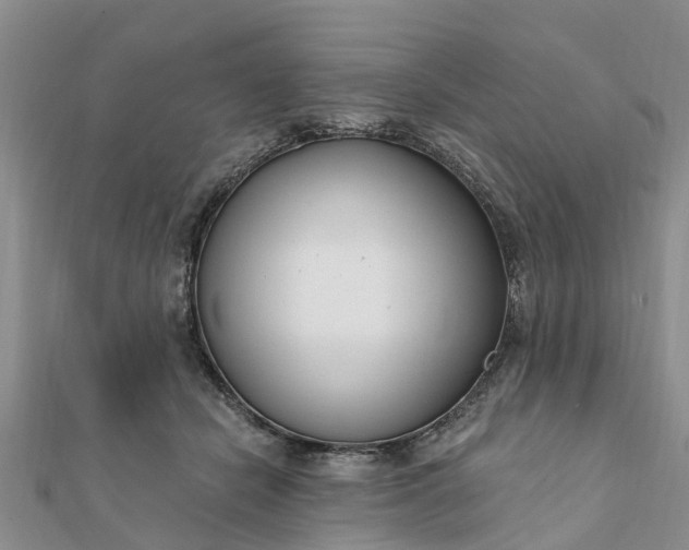 X0000112080462200908181246