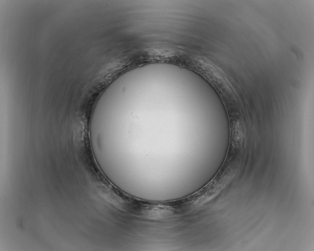 X0000112080463200908181246