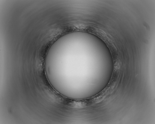 X0000112080464200908181246