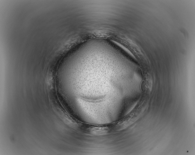 X0000112080465200908181246