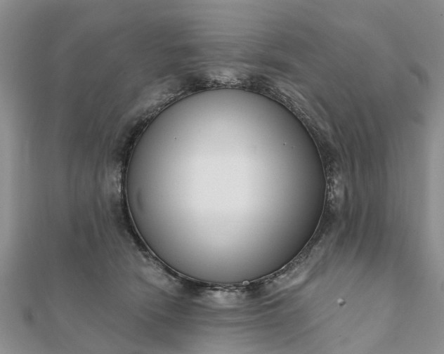 X0000112080466200908181246