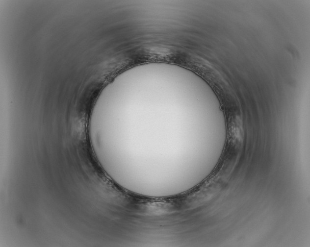 X0000112080468200908181246