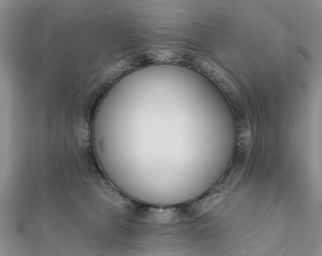 X0000112080469200908181246