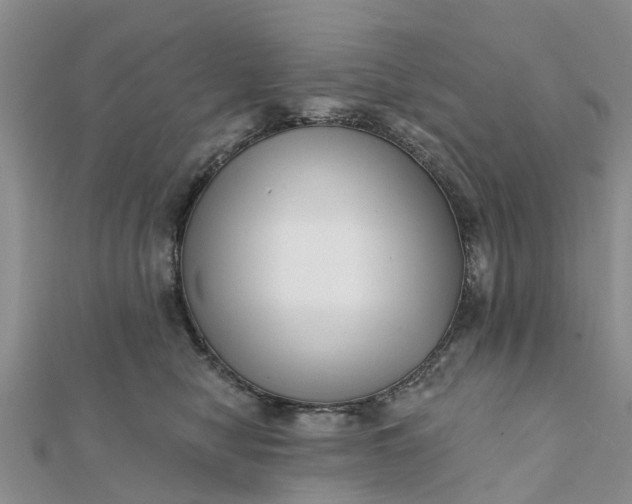 X0000112080470200908181246