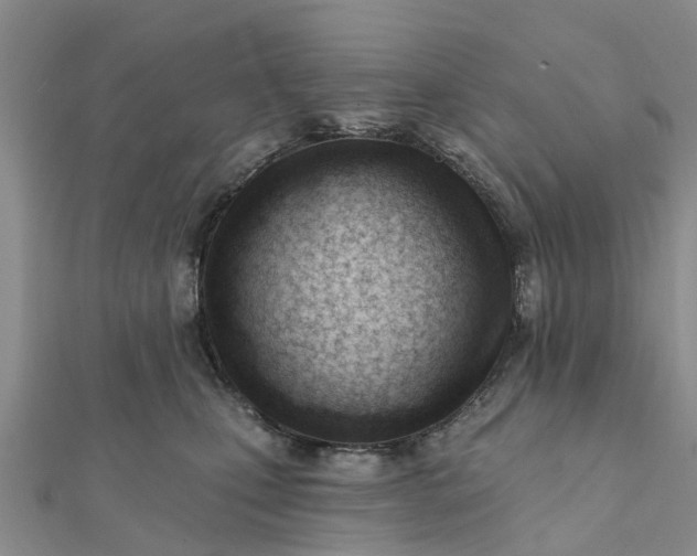 X0000112080471200908181246