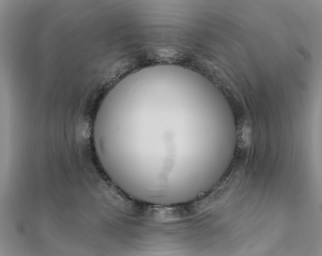 X0000112080472200908181246