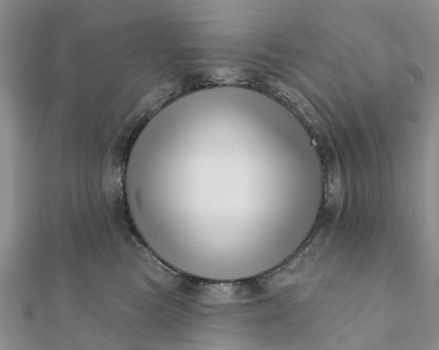 X0000112080473200908181246