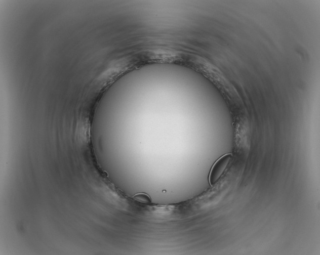 X0000112080474200908181246