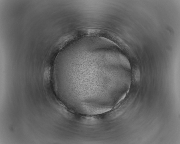 X0000112080475200908181246