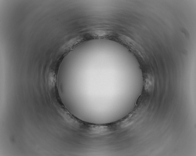 X0000112080476200908181246