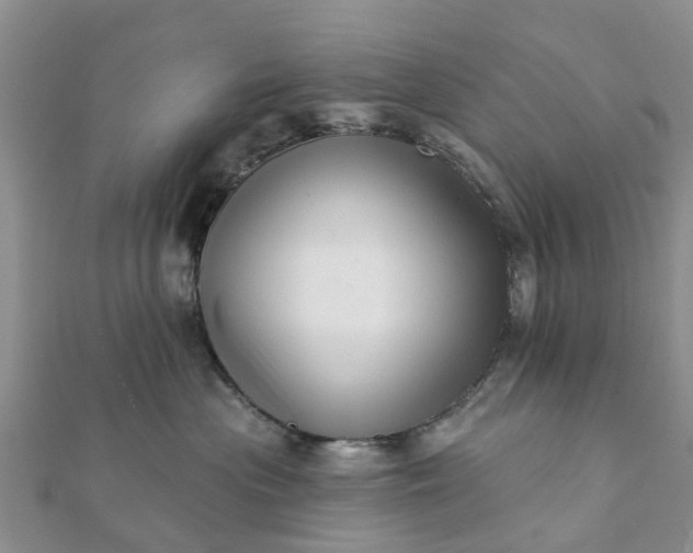 X0000112080477200908181246