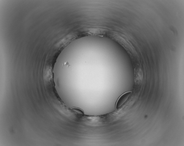 X0000112080478200908181246