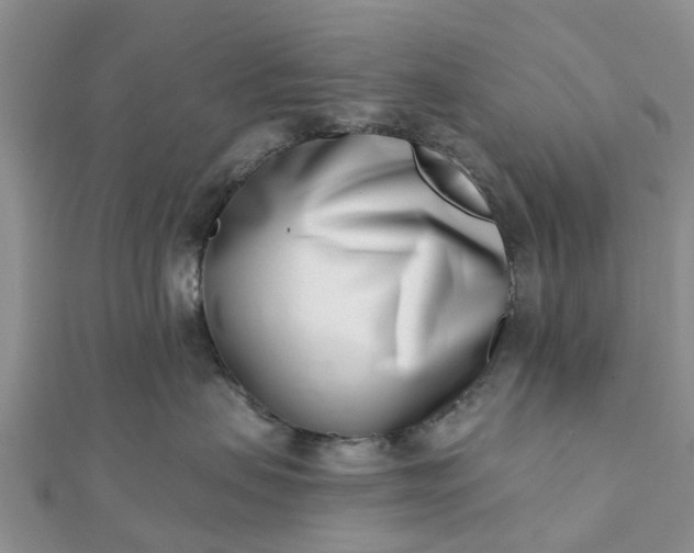 X0000112080479200908181246