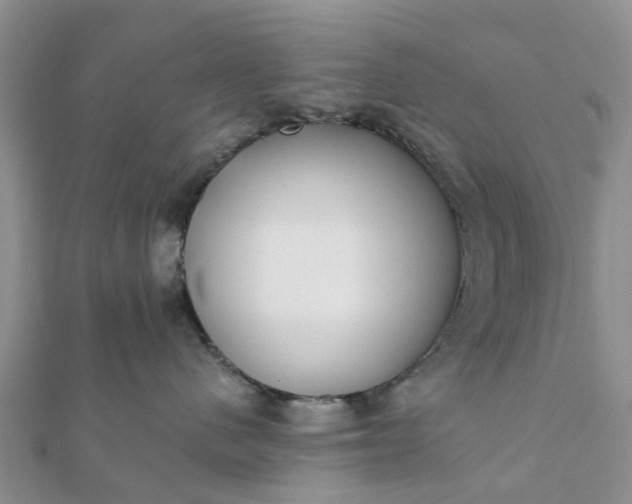 X0000112080480200908181246