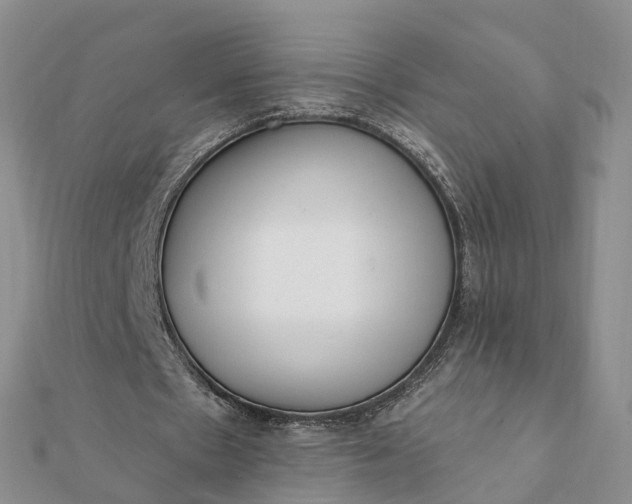 X0000112080481200908181245