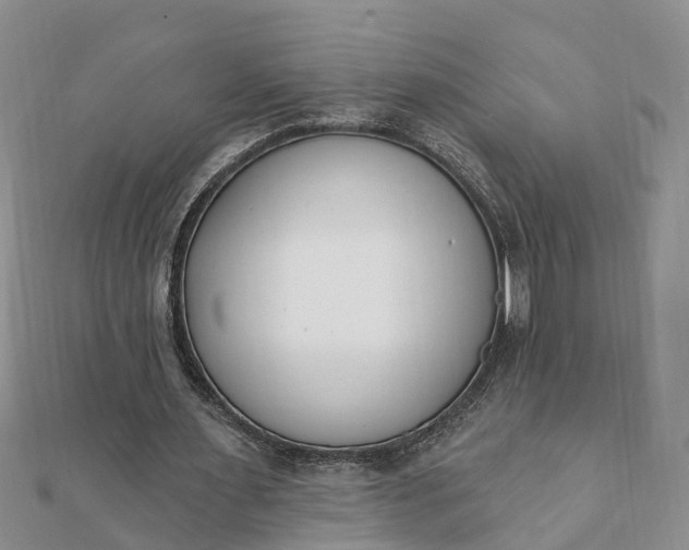 X0000112080483200908181245