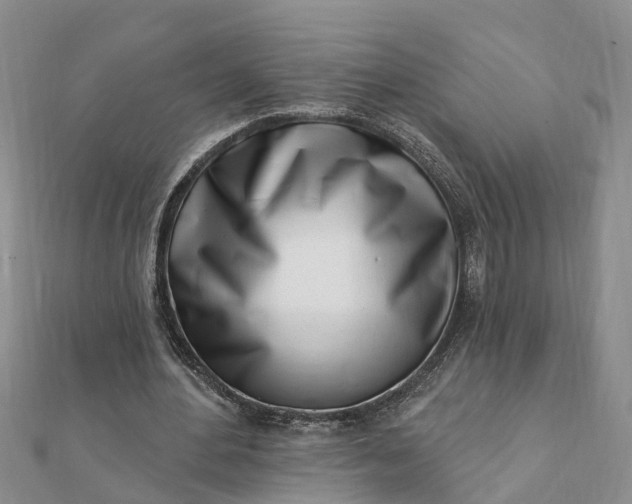 X0000112080484200908181245