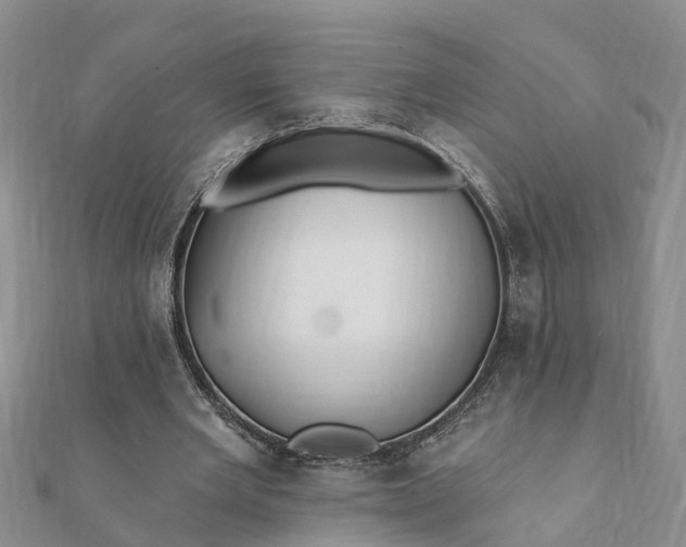 X0000112080485200908181245