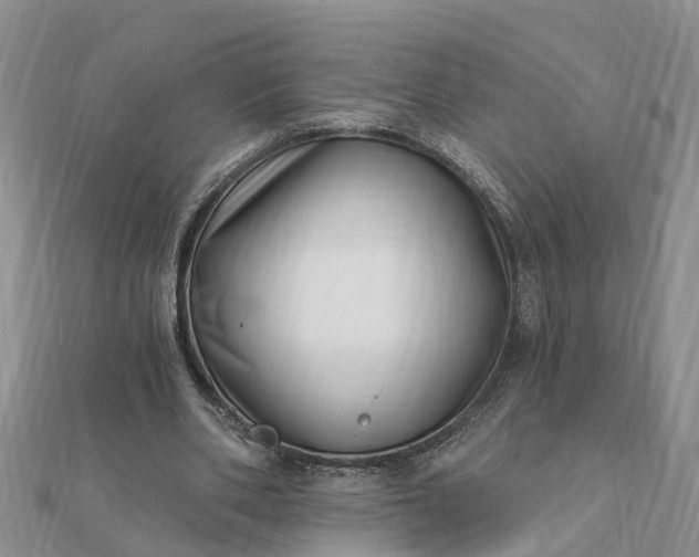 X0000112080486200908181245