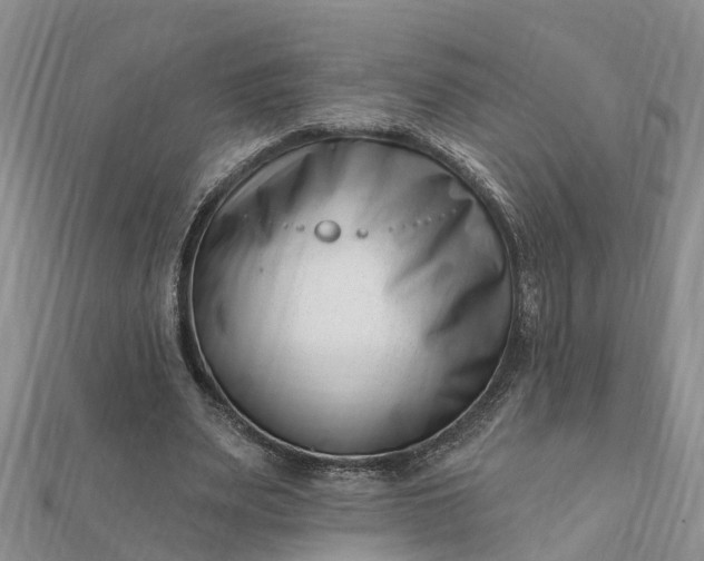 X0000112080487200908181245