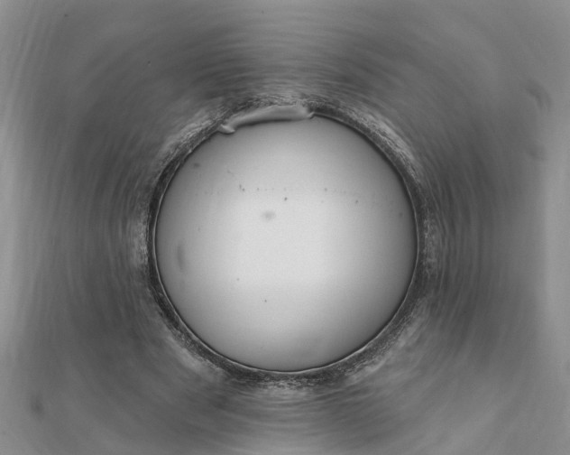 X0000112080489200908181245