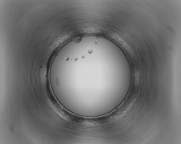 X0000112080490200908181245