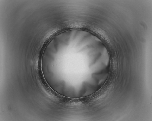 X0000112080491200908181245